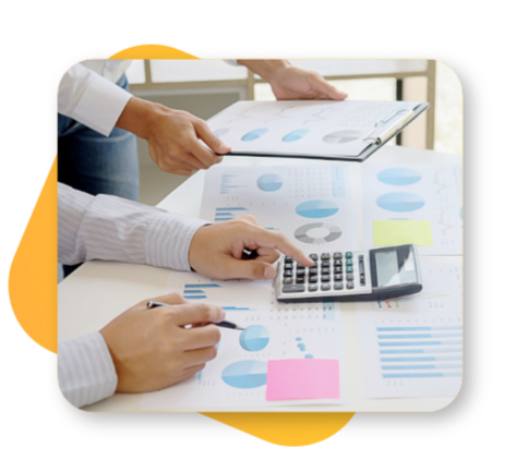 Projektový audit - produkty a služby